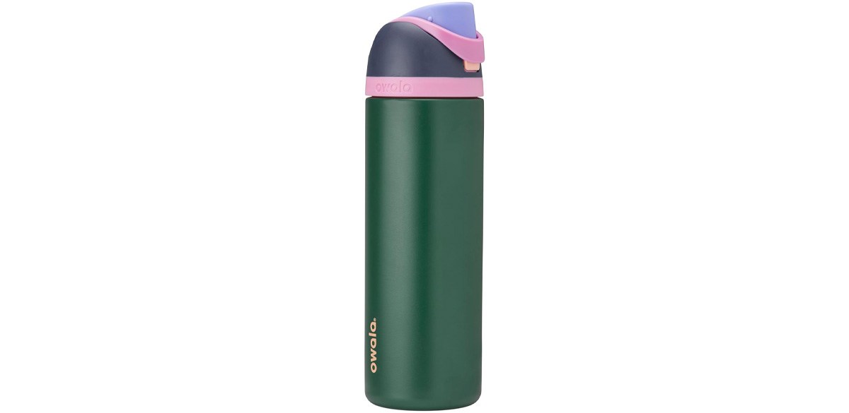 Owala FreeSip Insulated Stainless Steel Water Bottle