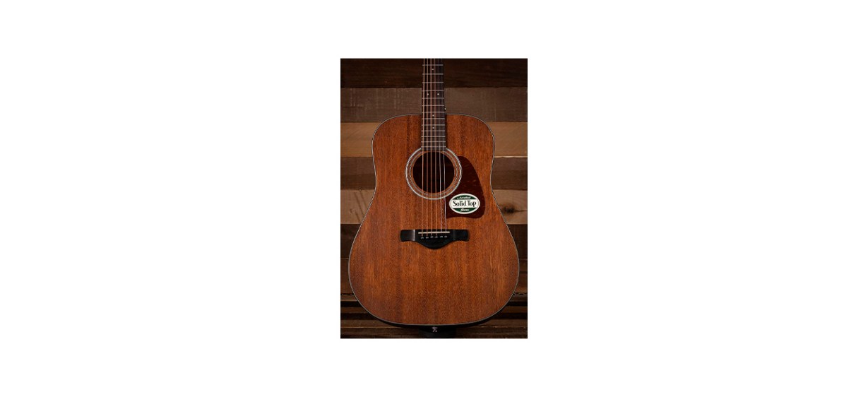 Best Ibanez Artwood Dreadnought Acoustic Guitar Best Ibanez Artwood Dreadnought Acoustic Guitar