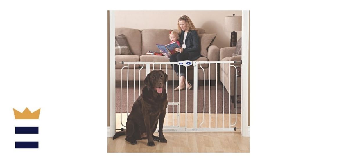 Best PetSmart dog gate