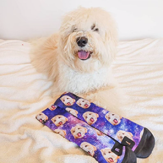 PetPartyCo Customized Dog Socks