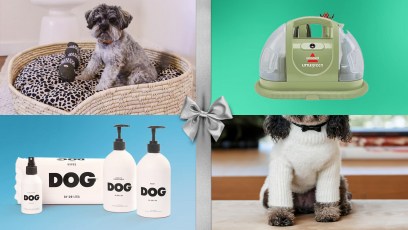 The ultimate gift guide for pet parents 