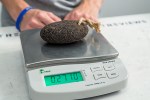 Best Pumice Stone