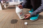 home carpet cleaning solutions