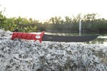 Large Fillet Knives