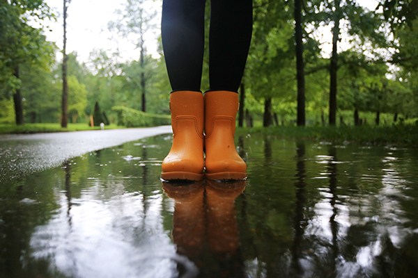 Women's Rain Boots