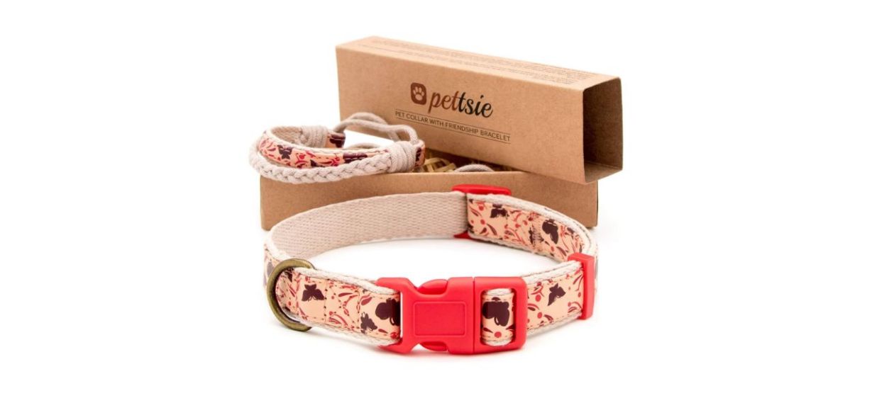 Pettsie Matching Dog Collar and Owner Friendship Bracelet on white background