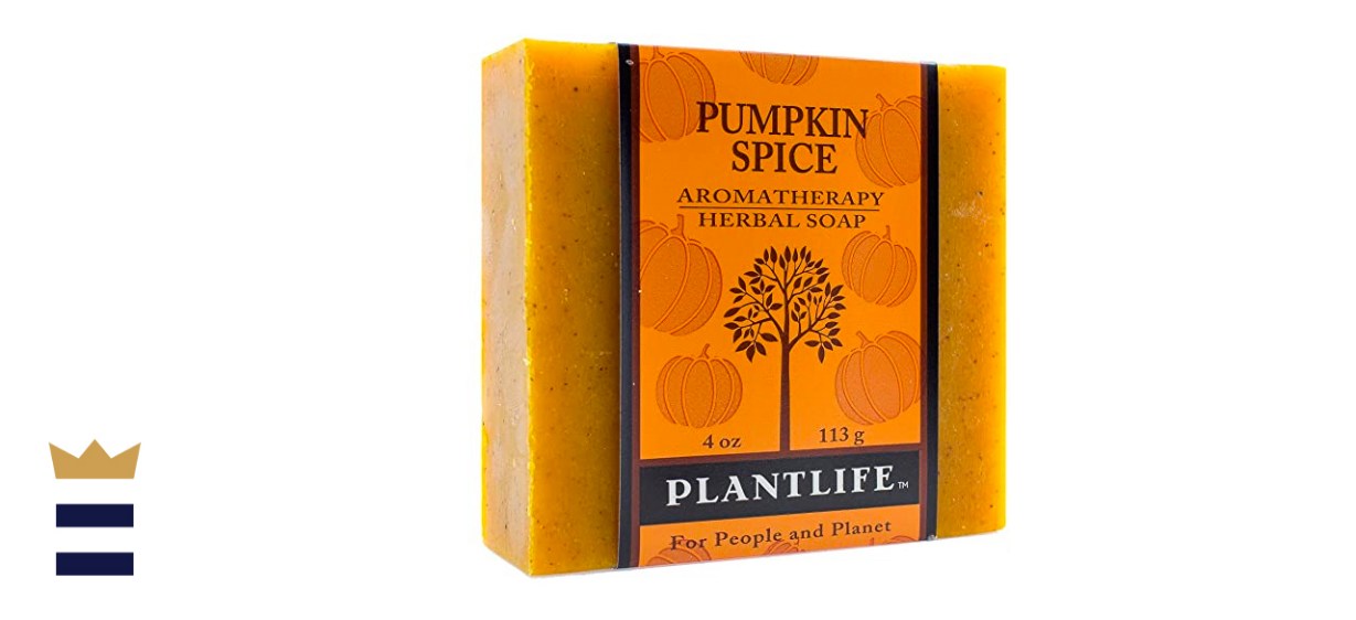 Plantlife Pumpkin Spice Aromatherapy Herbal Soap