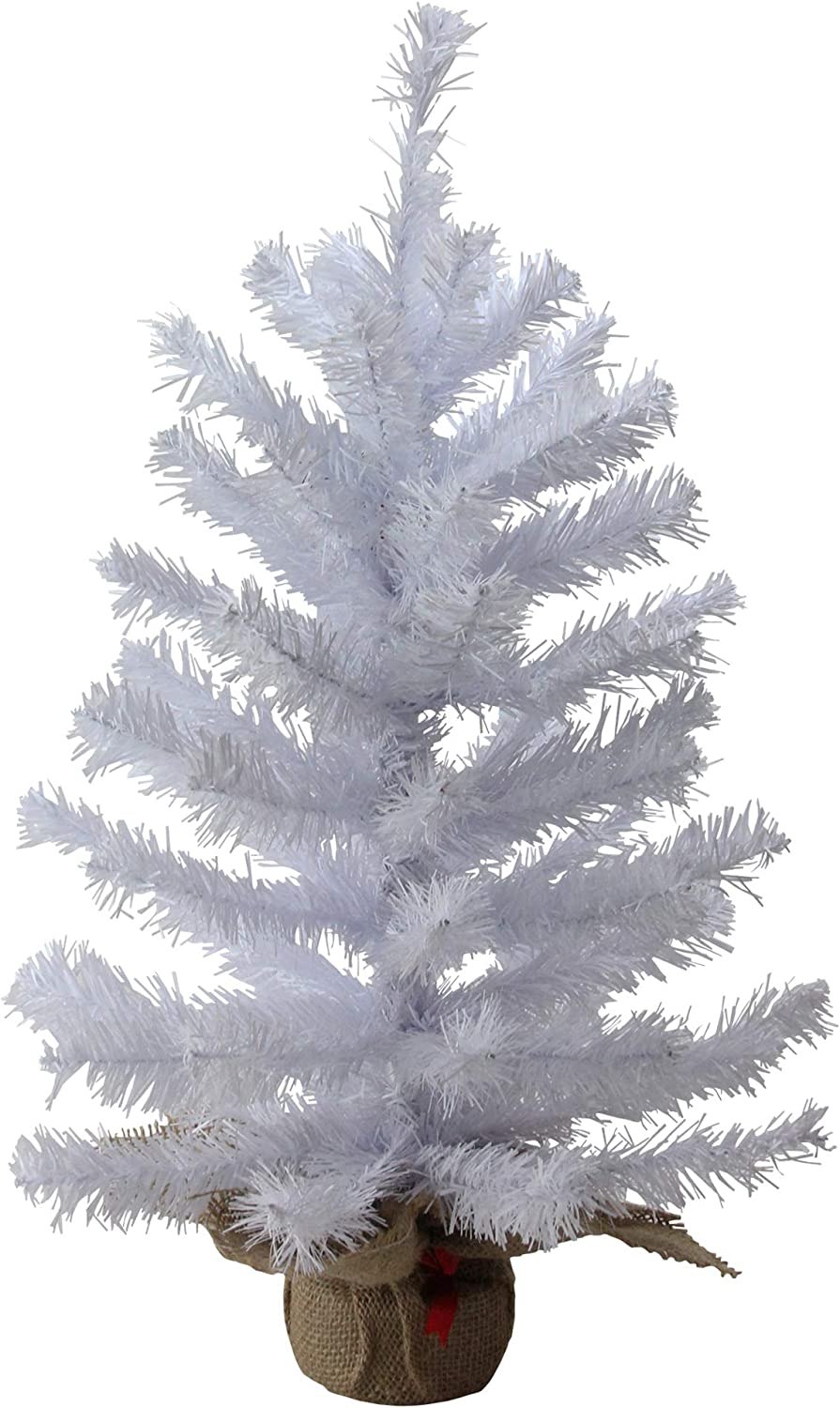 Northlight White Balsam Pine  Tree