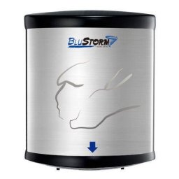 Blue Storm