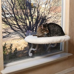 K&H Pet Products