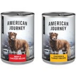 American Journey