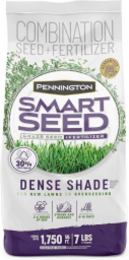Pennington