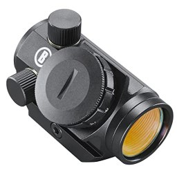 Bushnell
