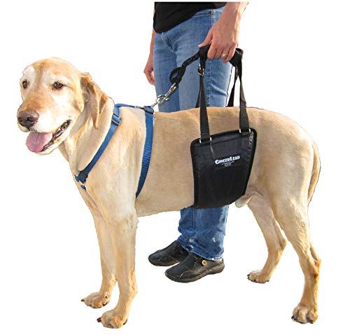GingerLead Dog Support &amp; Rehabilitation Harness