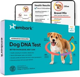 Embark