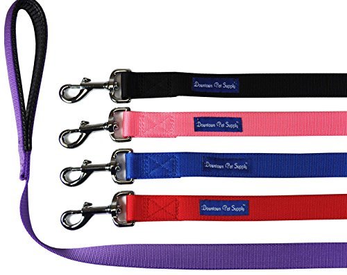 Downtown Pet Supply Durable Dog Leash