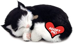 Perfect Petzzz
