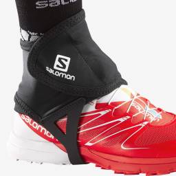 Salomon